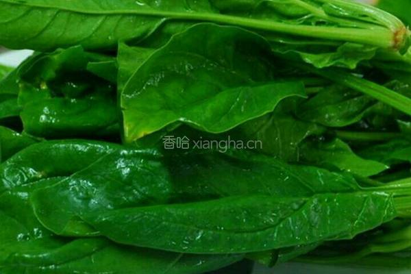 牛肉锅的做法图解3