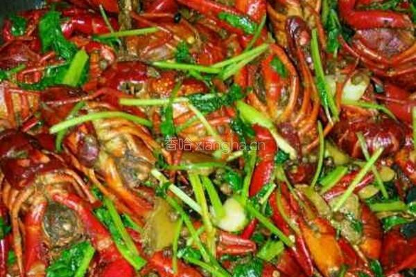 麻辣小龙虾的做法图解8