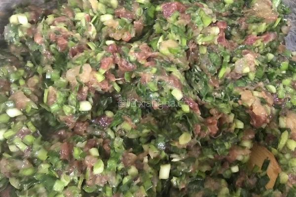 韭菜虾仁肉彩色水饺的做法图解5