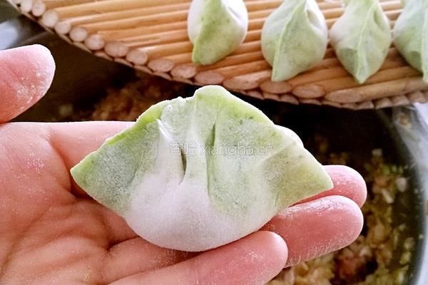 百财饺子的做法图解20