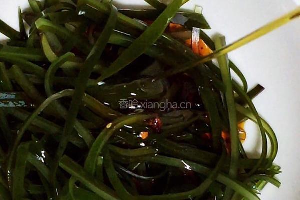 红油蒜末海带丝的做法图解4