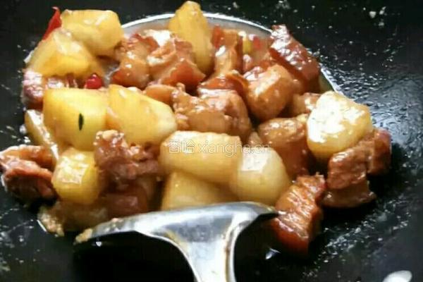 红烧肉炖冬瓜的做法图解9