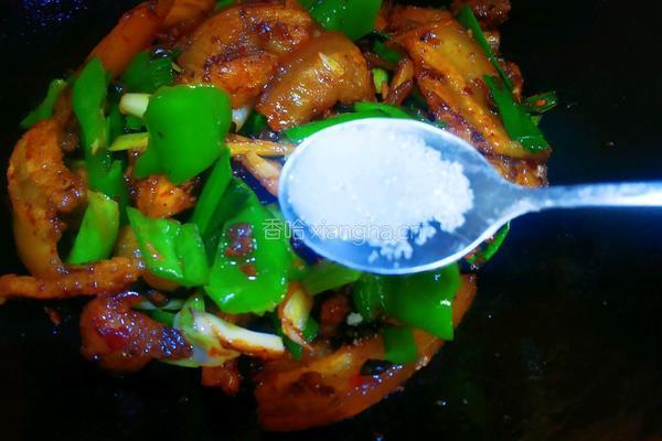 青蒜回锅肉的做法图解13