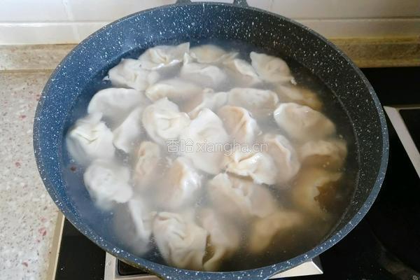东北酸菜猪肉饺子的做法图解19