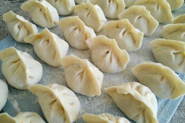 东北酸菜猪肉饺子的做法图解18