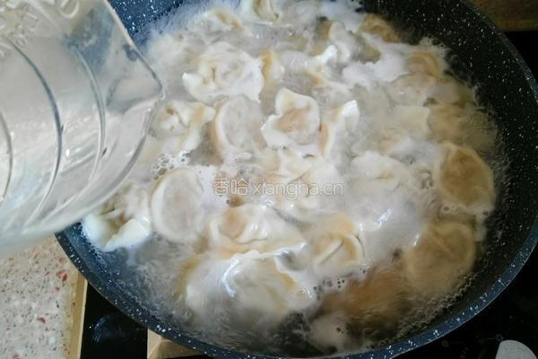 东北酸菜猪肉饺子的做法图解20