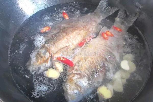 鲫鱼炖豆腐的做法图解4
