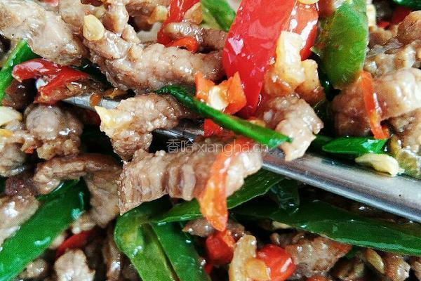 辣椒炒牛肉的做法图解16