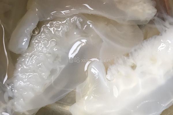 凉拌海蜇头的做法图解1