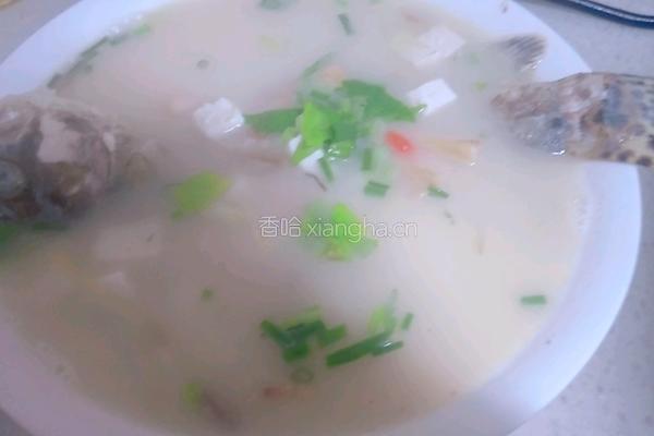桂鱼豆腐汤的做法图解13