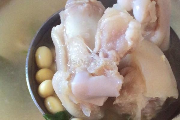 黄豆猪蹄汤的做法图解9