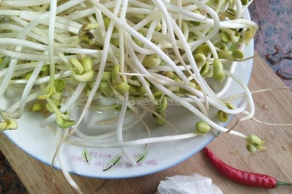 香辣豆芽菜的做法图解1
