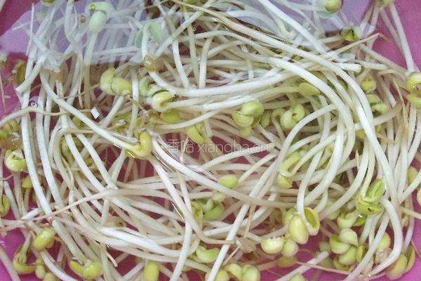 香辣豆芽菜的做法图解2