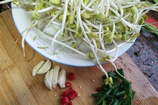 香辣豆芽菜的做法图解3
