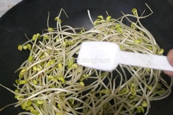 香辣豆芽菜的做法图解7