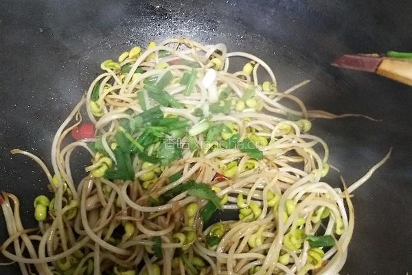 香辣豆芽菜的做法图解11