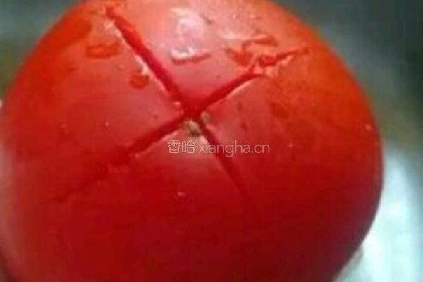 番茄酱的做法图解2