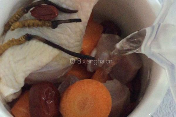 广东~虫草炖汤的做法图解4