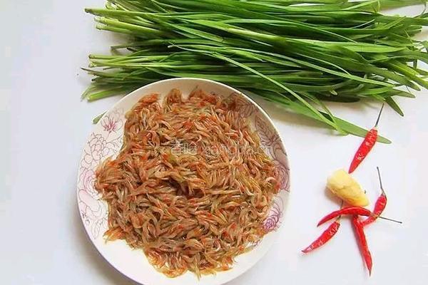 韭菜炒河虾的做法图解1