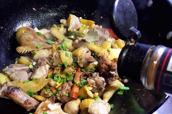 小鸡炖蘑菇粉条的做法图解10