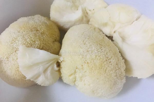 鲜味猴头菇的做法图解8