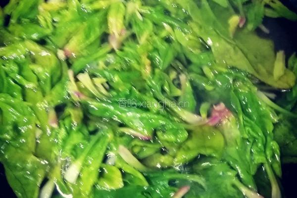 酱香菠菜拌粉丝的做法图解3