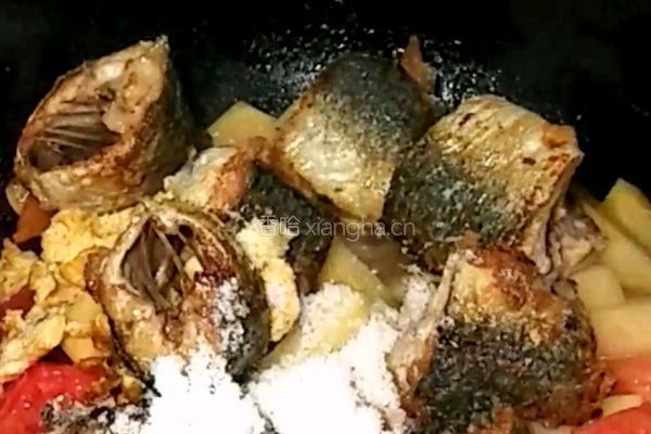 番茄鲅鱼的做法图解5