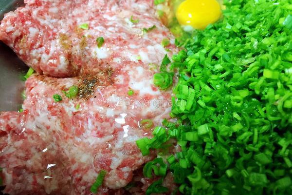 猪肉蒜苗水饺的做法图解5