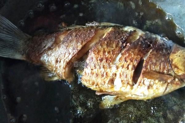 花椒鱼的做法图解6