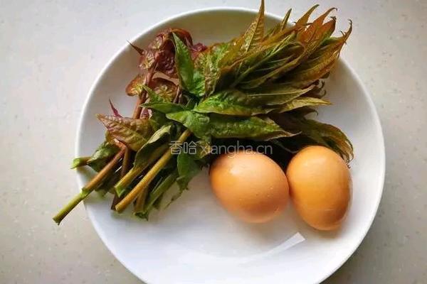 香椿炒鸡蛋的做法图解1