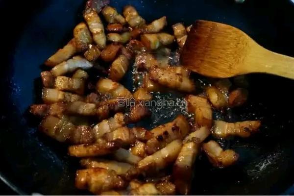 红烧肉煨蛋的做法图解4