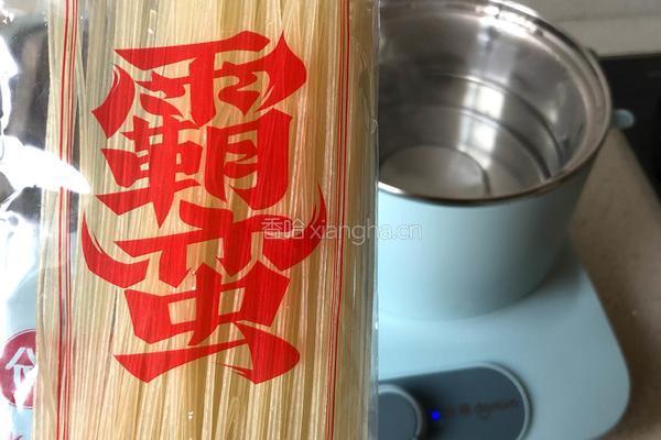 红烧牛肉粉的做法图解3