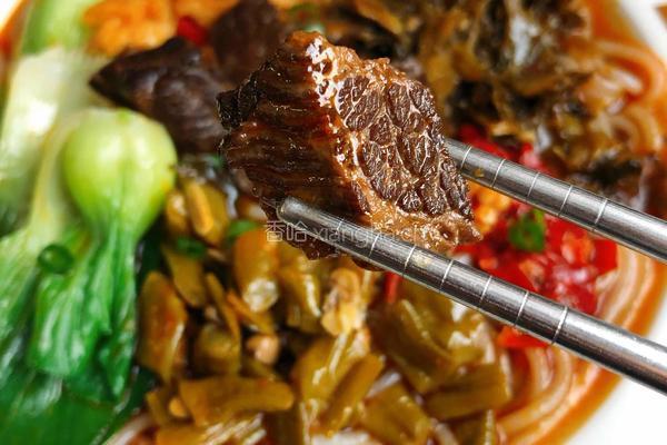 红烧牛肉粉的做法图解9