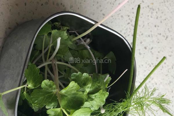 素食-素披萨 （饺子皮）的做法图解3