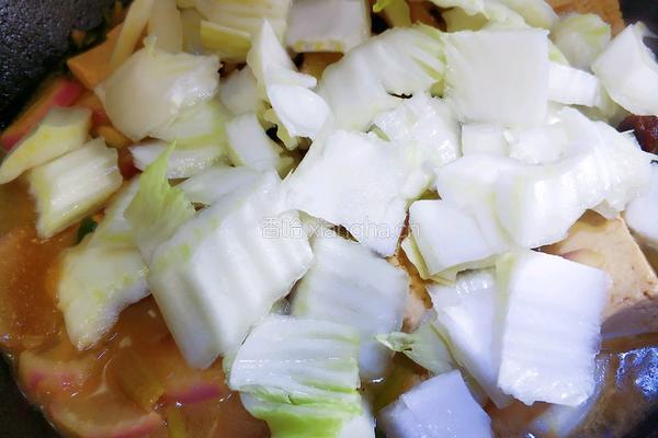 萝卜白菜炖豆腐的做法图解16