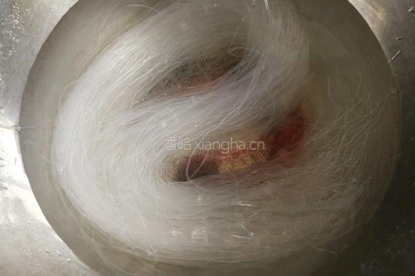  象拔蚌蒸粉丝的做法图解4