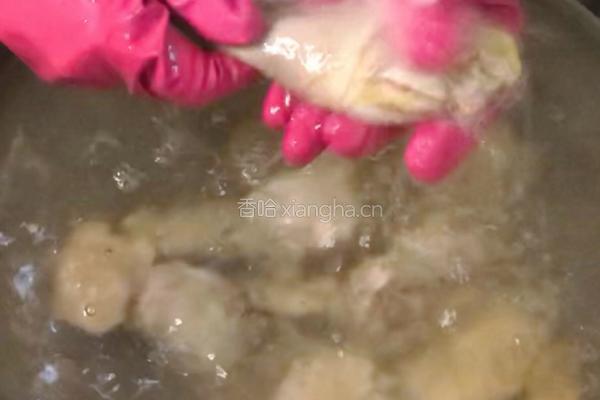 四川—虫草花炖土鸡的做法图解4