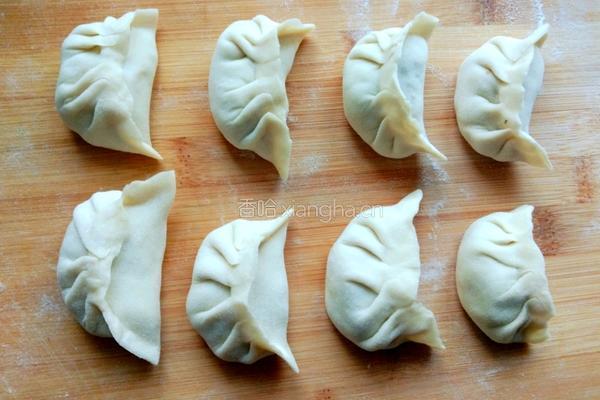 河北羊肉大葱饺子的做法图解7