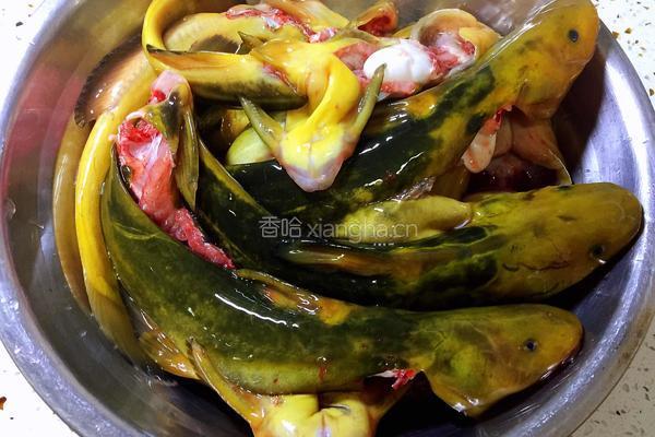 红烧牛尾巴鱼的做法图解1
