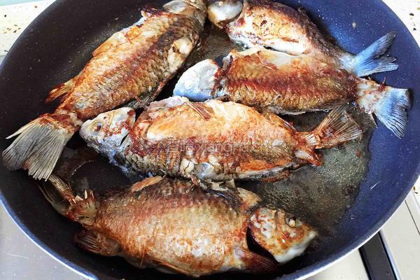 酱焖鲫鱼豆腐的做法图解5