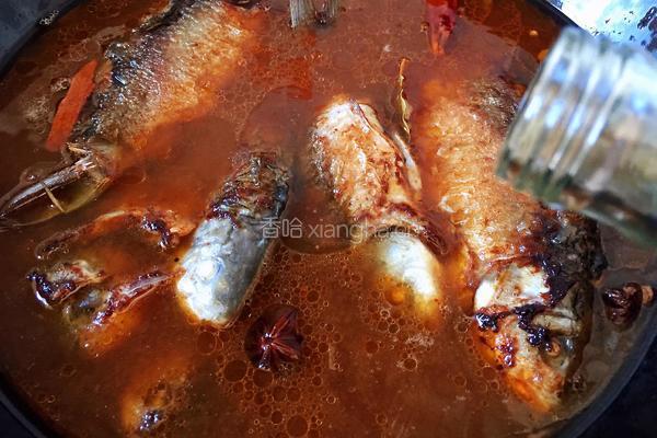酱焖鲫鱼豆腐的做法图解10