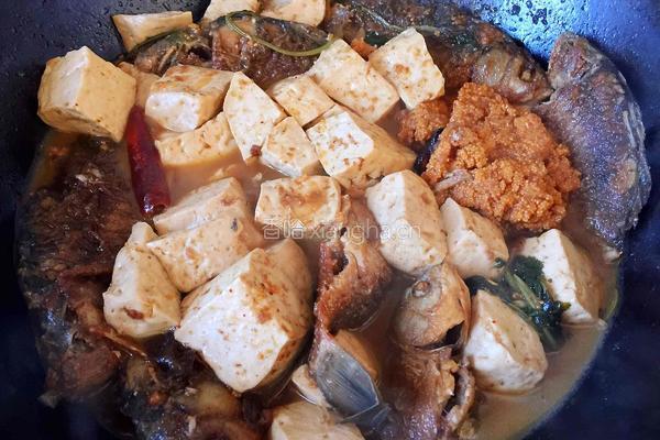 酱焖鲫鱼豆腐的做法图解15