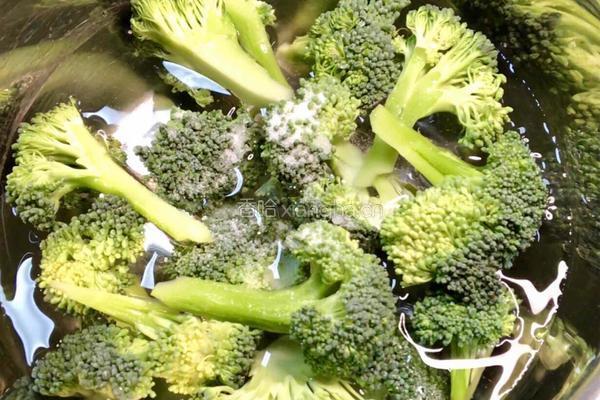 粤式—西兰花炒虾仁的做法图解1