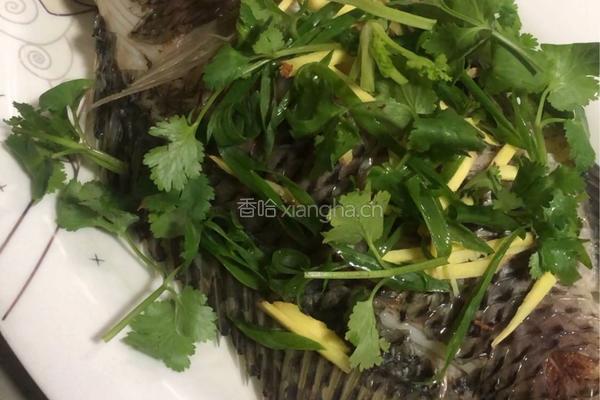 粤式－清蒸水库鲫鱼的做法图解6
