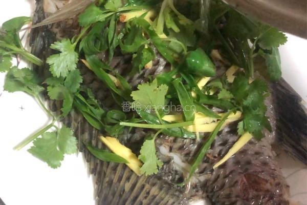 粤式－清蒸水库鲫鱼的做法图解7