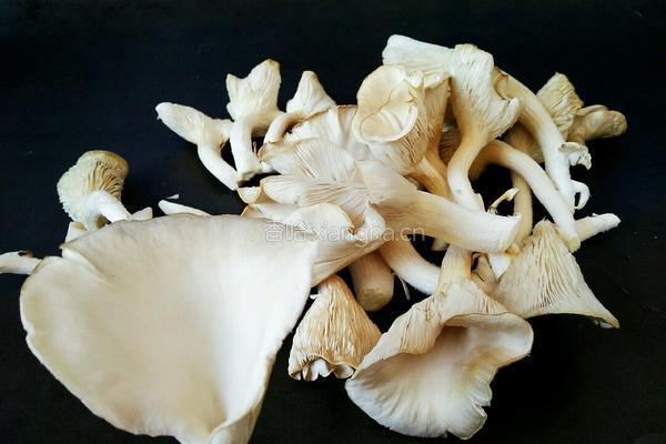 炸蘑菇的做法图解1