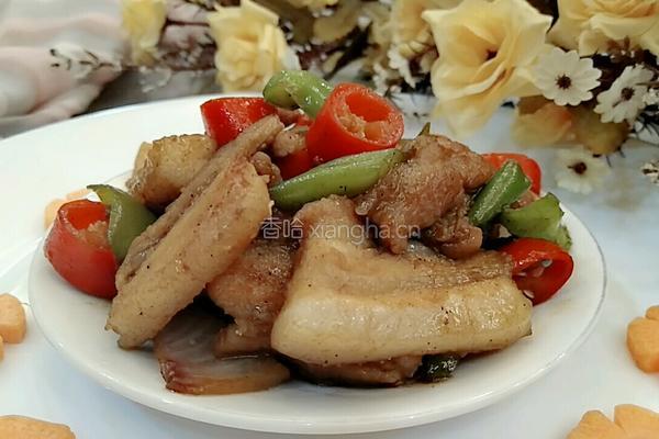 农家小炒肉的做法图解15
