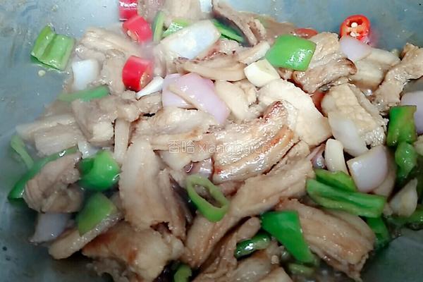 农家小炒肉的做法图解9
