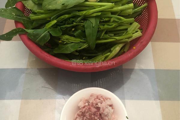 家常肉沫炒菜心的做法图解1