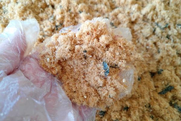 自制海苔肉松的做法图解14
